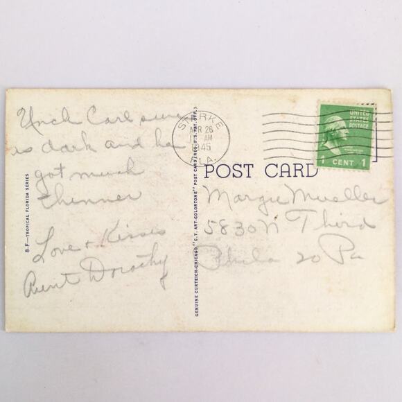 Lover's Lane in Florida 1940s Linen Postcard FL PC 1945 Starke Tropical - Picture 2 of 2